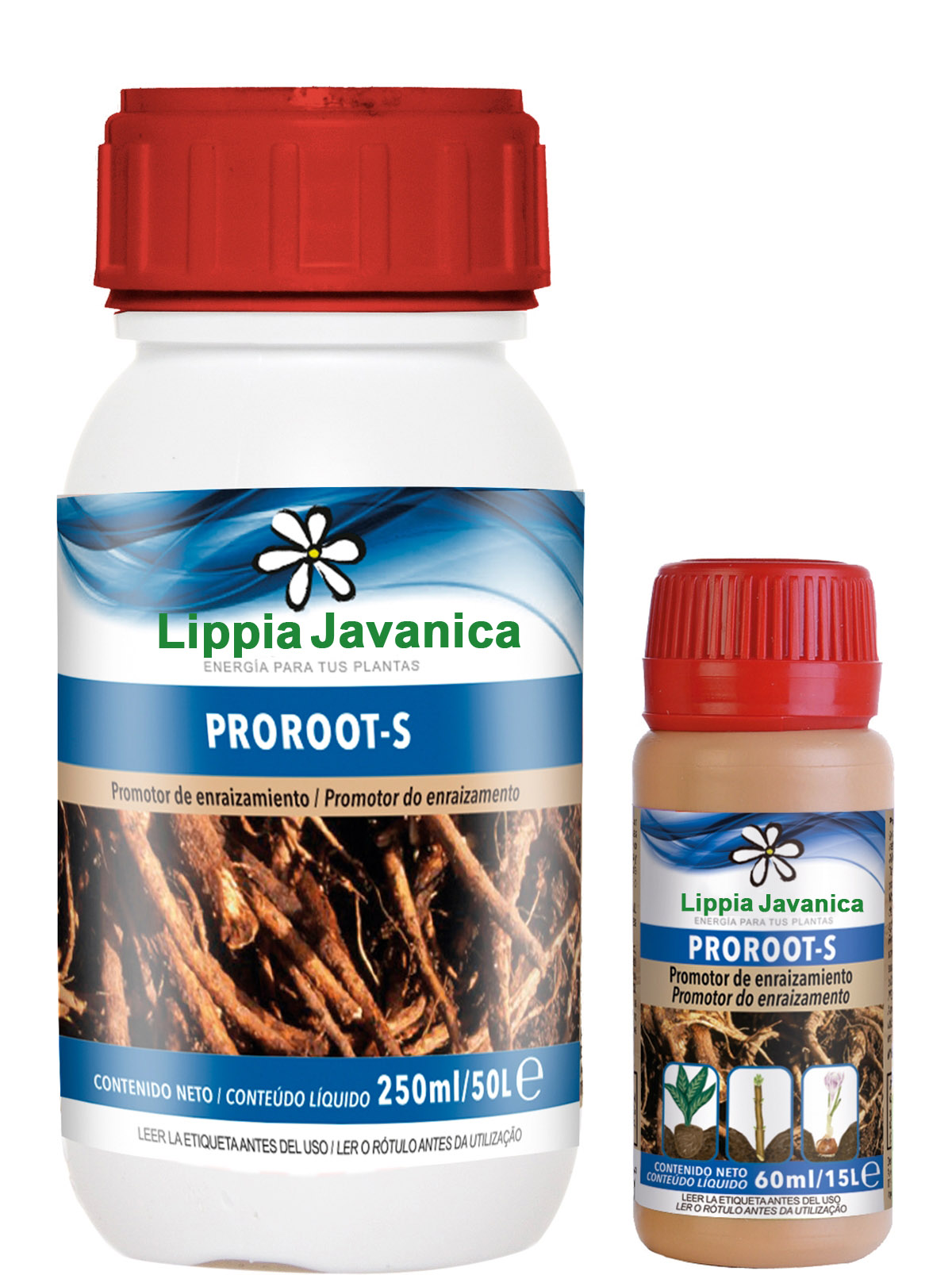 Lippia javanica - Botanical Supplement